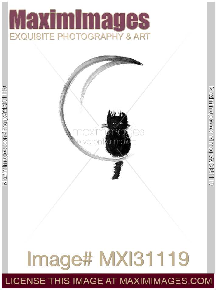 Black fuzzy cat sitting on the crescent moon