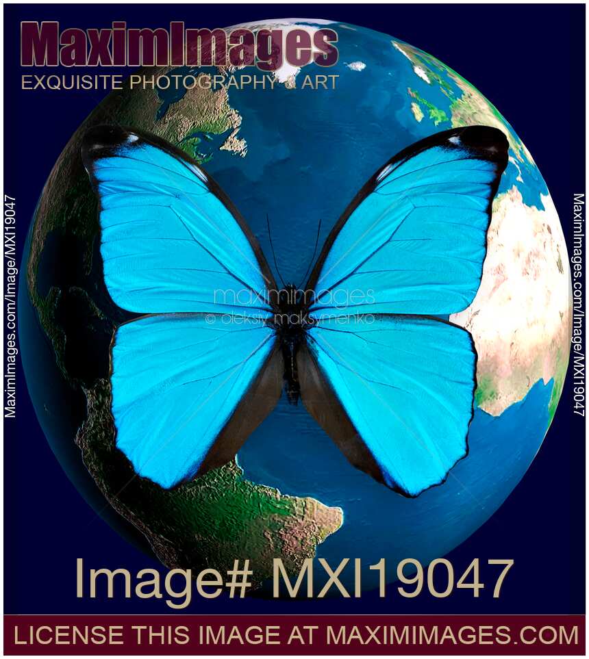 Blue butterfly and the planet Earth globe