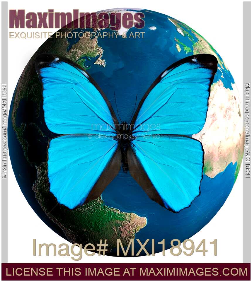 Blue butterfly over the Earth globe
