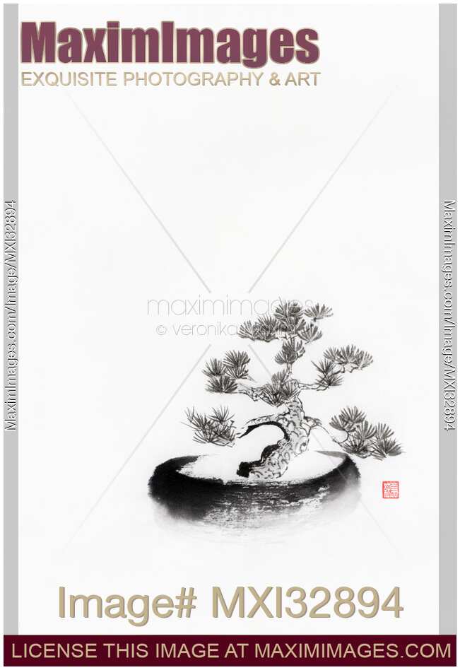 Bonsai black pine tree Zen Japanese ink painting