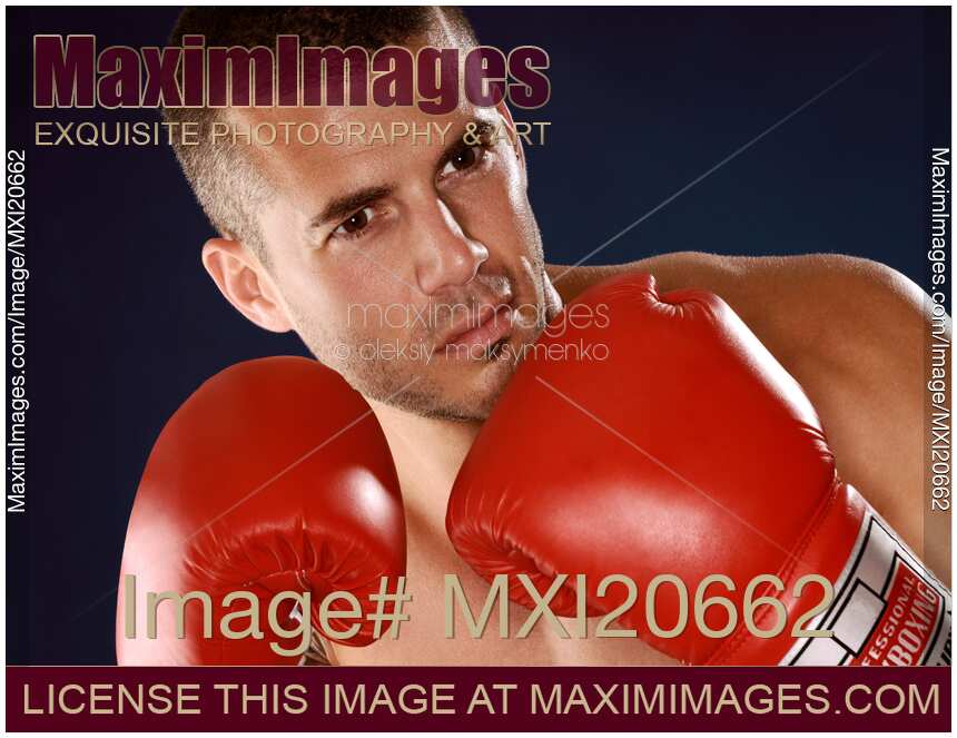Boxer