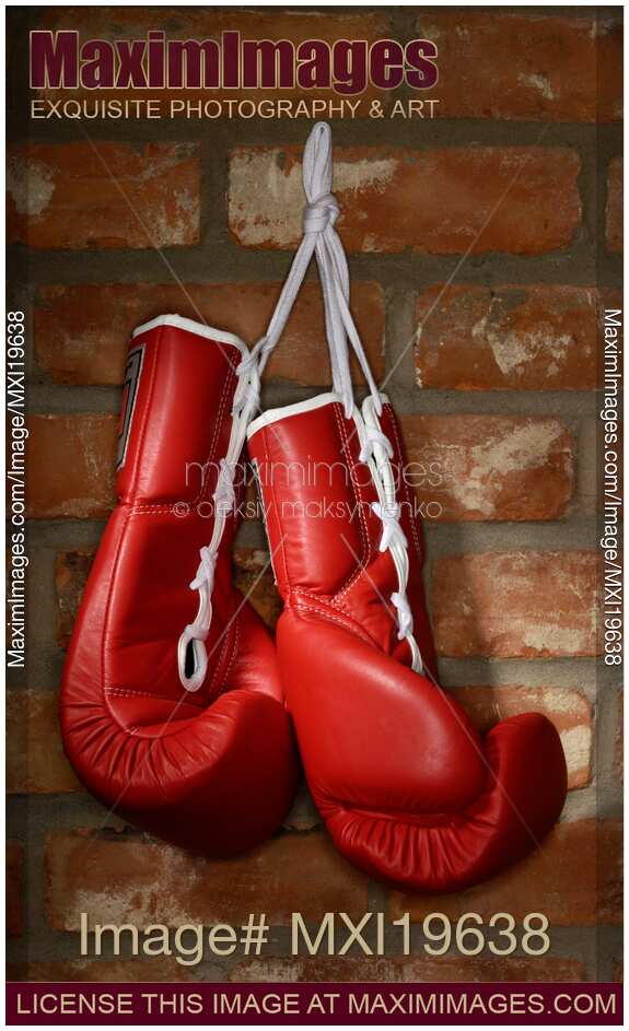 Stock photo Boxing Gloves MaximImages
