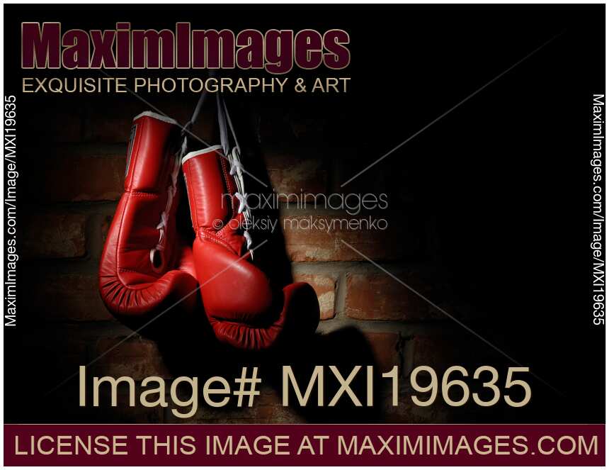 Boxing Gloves