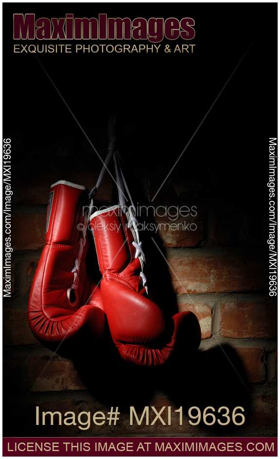 Boxing Gloves