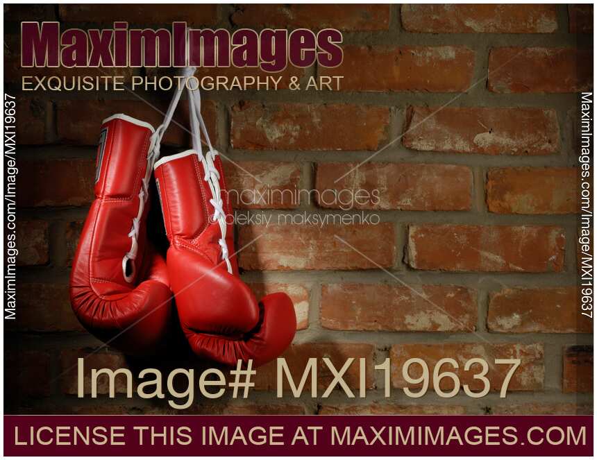 Boxing Gloves