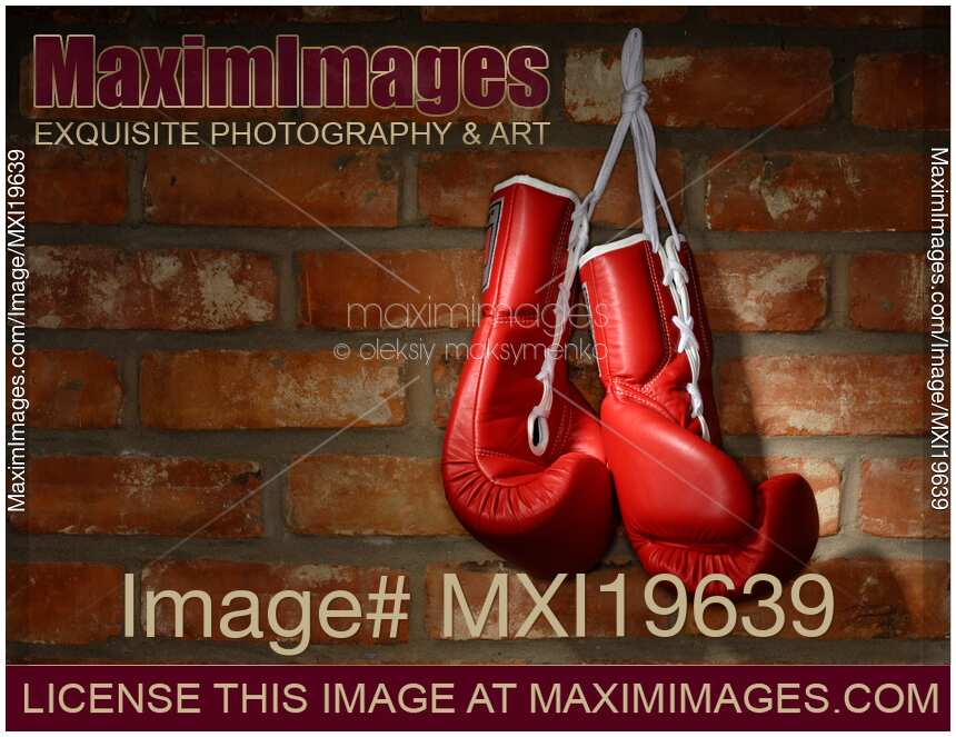 Boxing Gloves