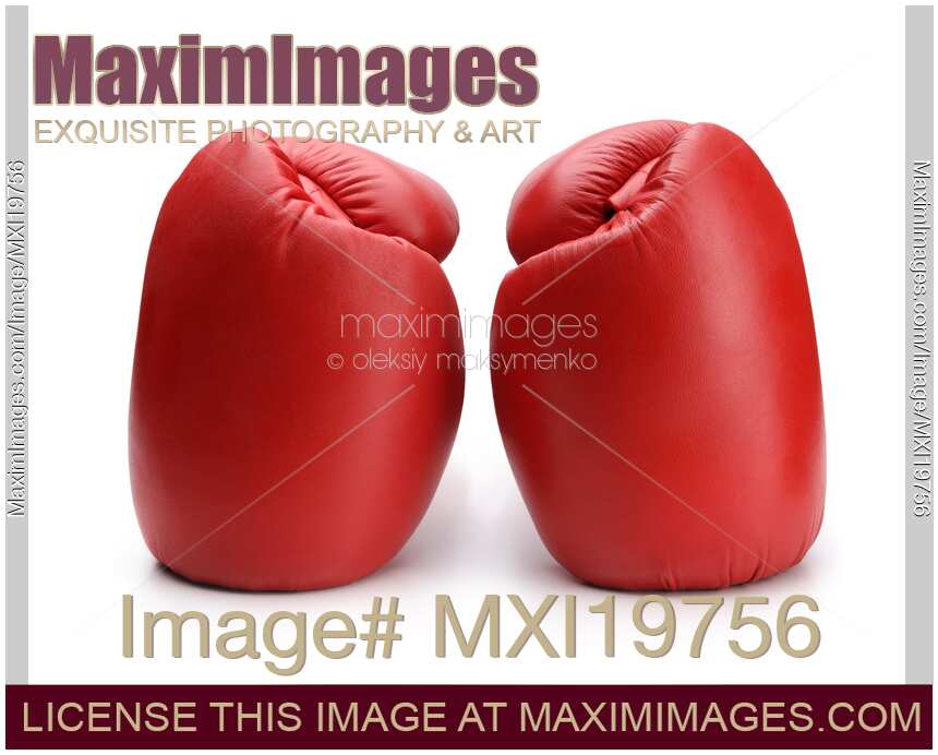 Boxing Gloves
