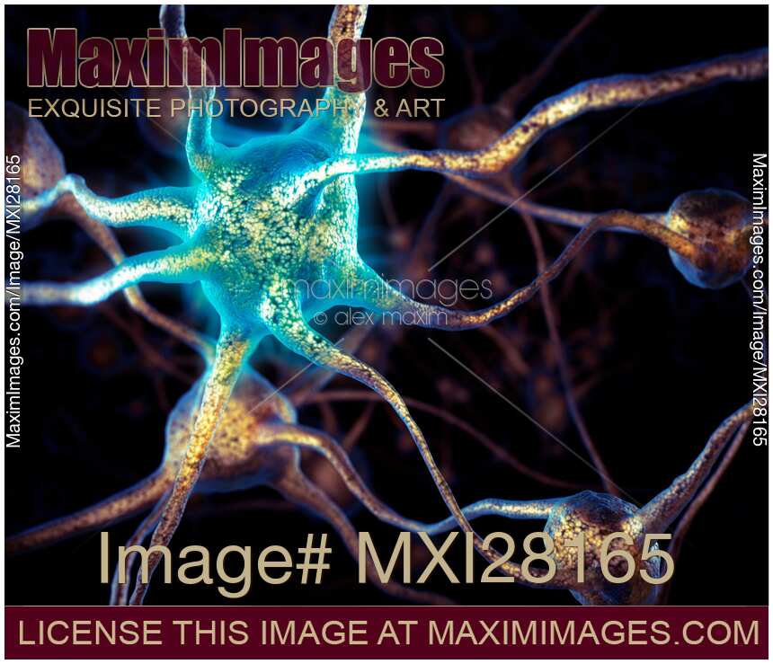 Brain cells network of neurons 3D illustration