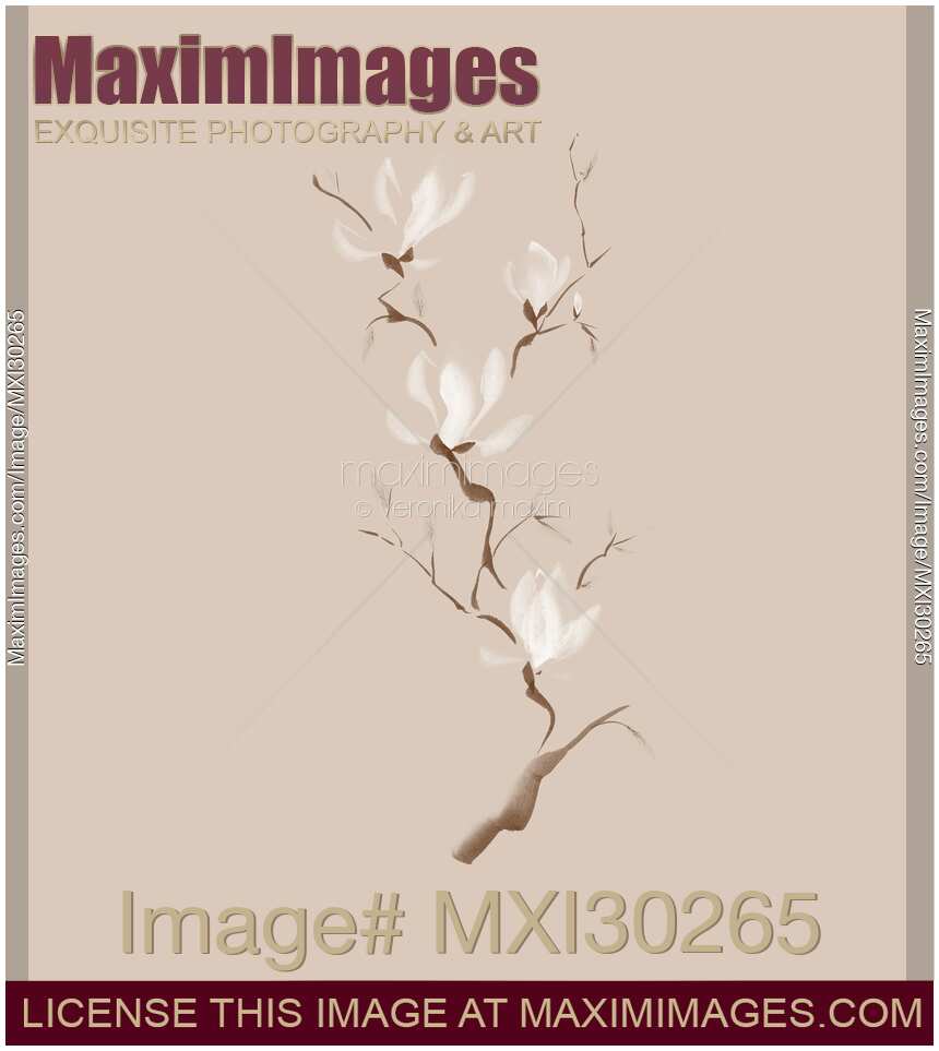 Branch of blooming magnolia flowers artistic Zen Sumi-e painting design on beige background