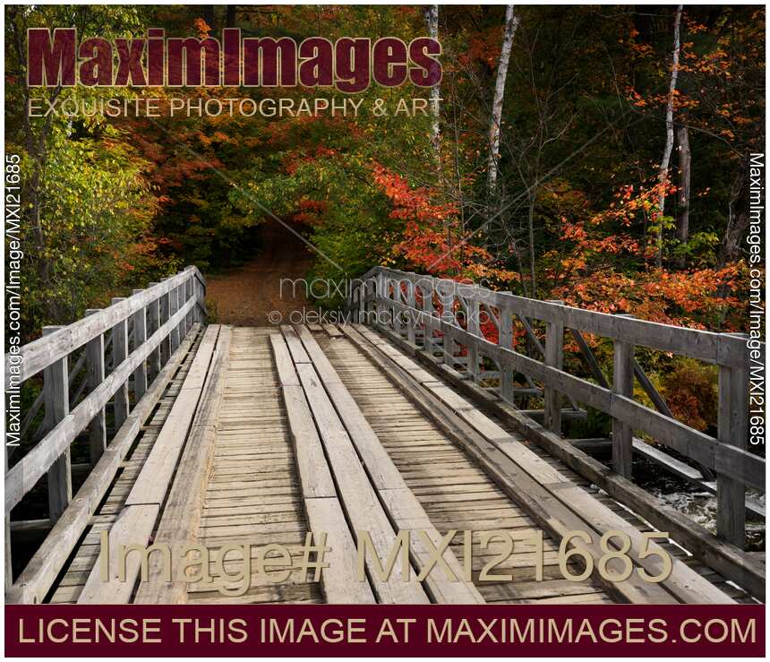 Bridge over a River Fall Nature Scenery