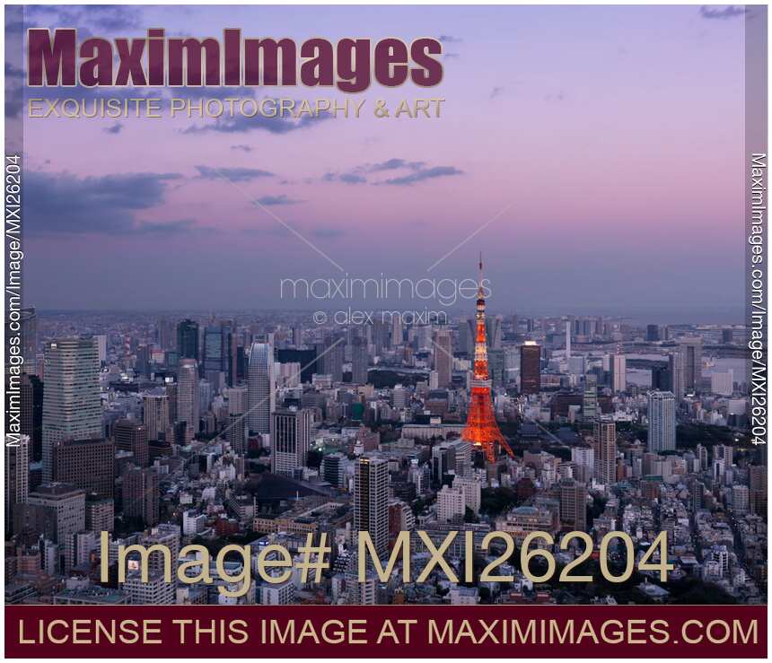 Bright red Tokyo Tower in twilight city scenery