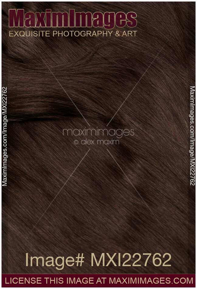 Brown Hair