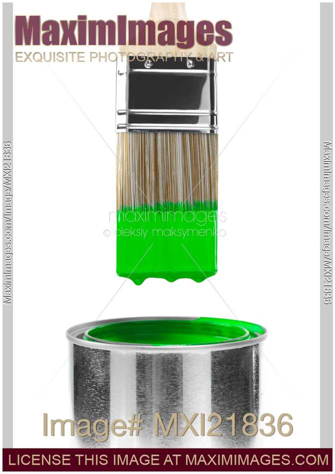 Brush Dipped in Green Paint