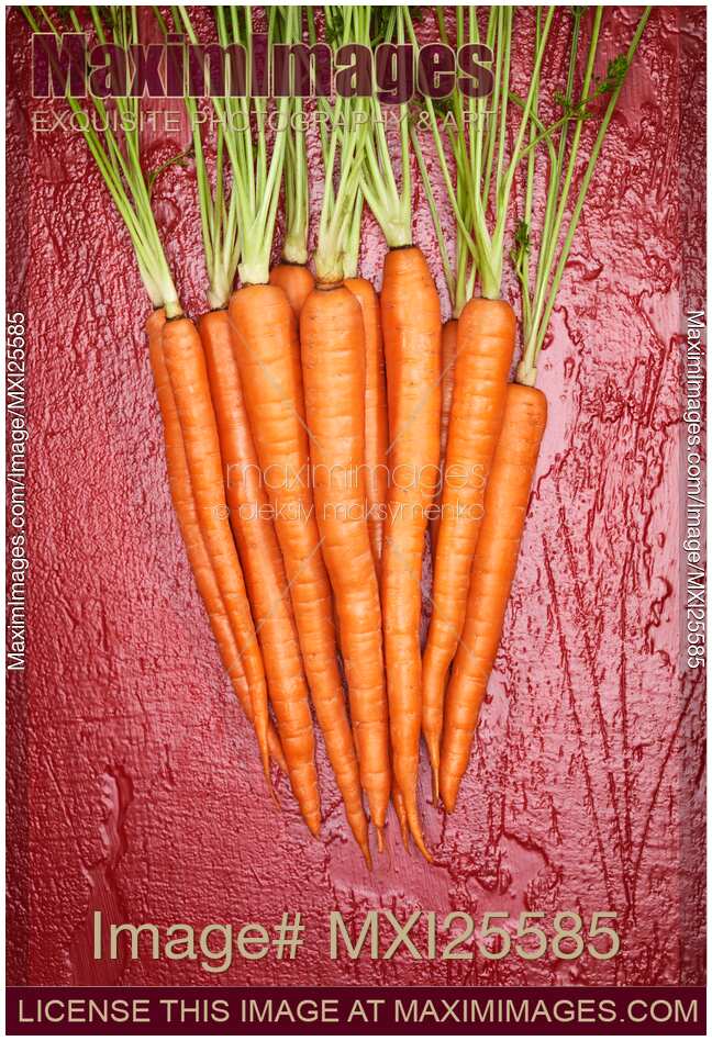 Bunch of carrots artistic still life