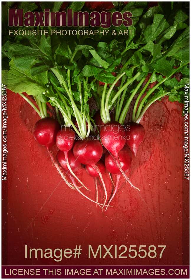 Bunch of radish artistic food still life