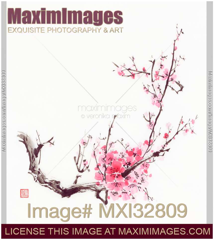 Bushy sakura branch with pink flowers Chinese Zen brush painting