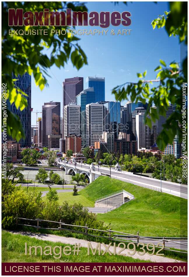 Calgary city downtown skyline and Centre Street Bridge framed by green trees