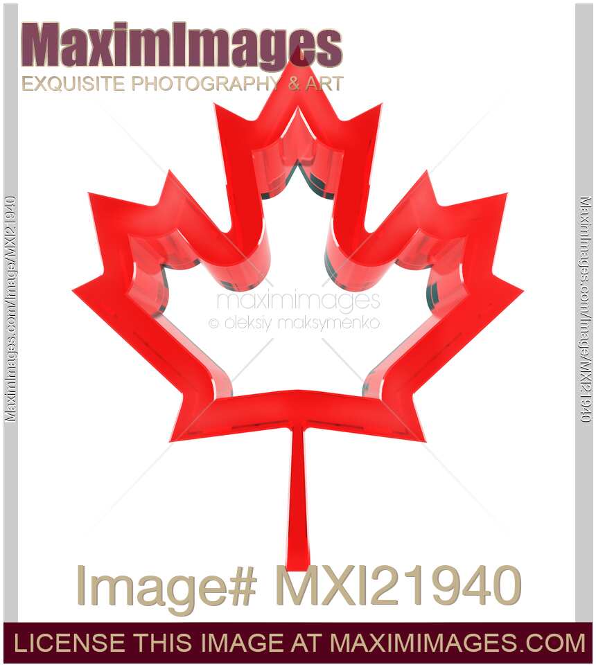 Canada Maple Leaf Symbol