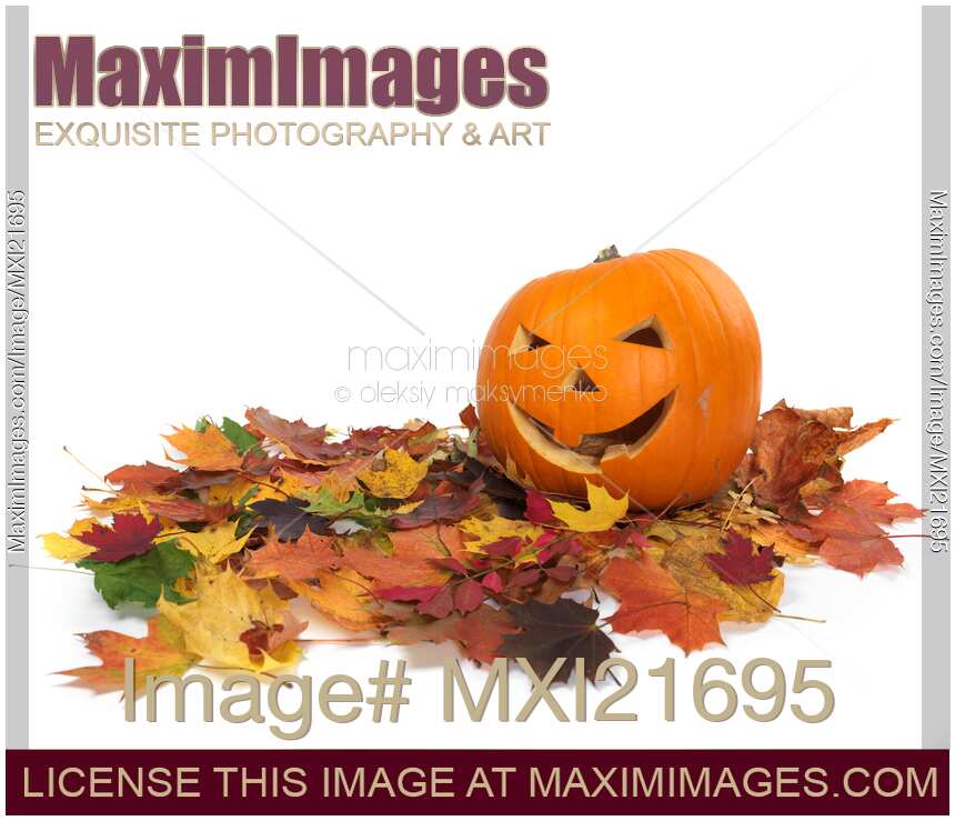 Carved Pumpkin on Fallen Leaves