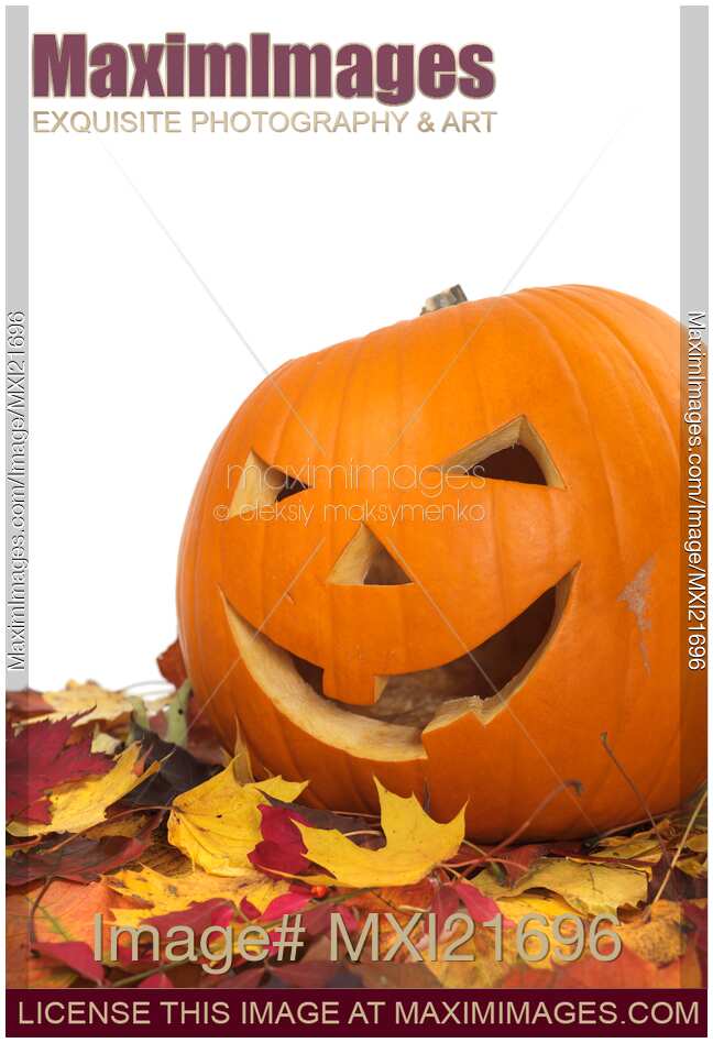 Carved Pumpkin on Fallen Leaves