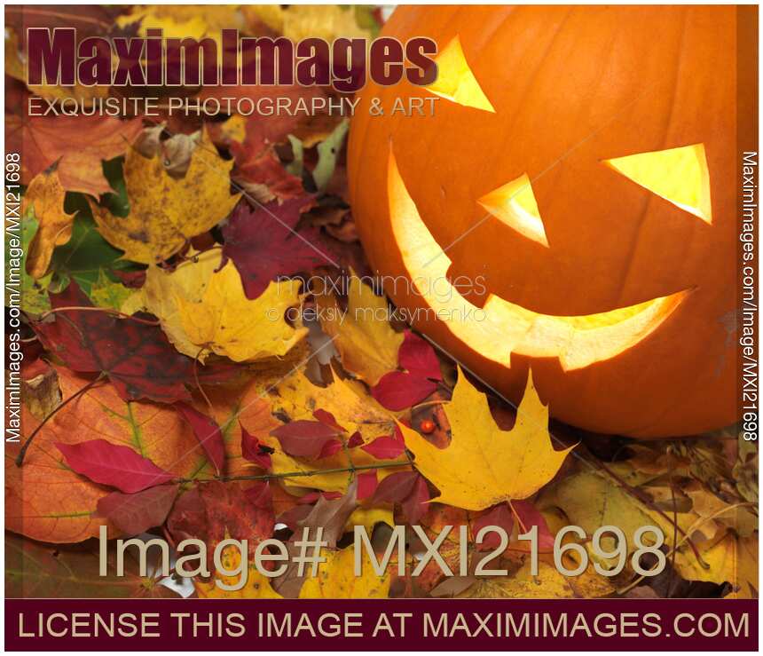 Carved Pumpkin on Fallen Leaves