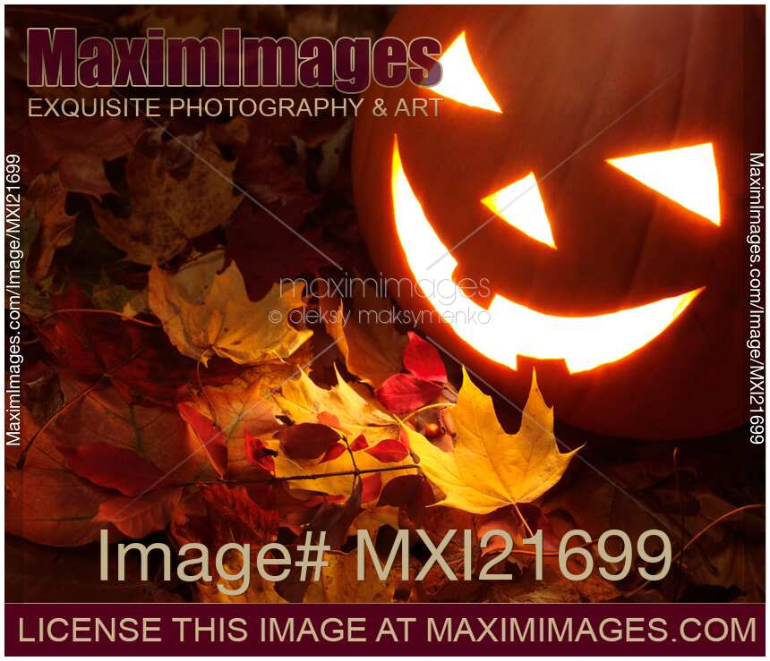 Carved Pumpkin on Fallen Leaves