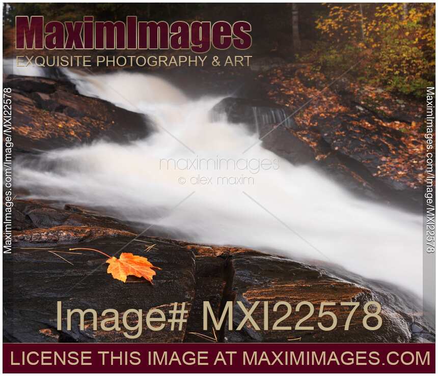 Cascade Waterfall Fall Nature Scenery