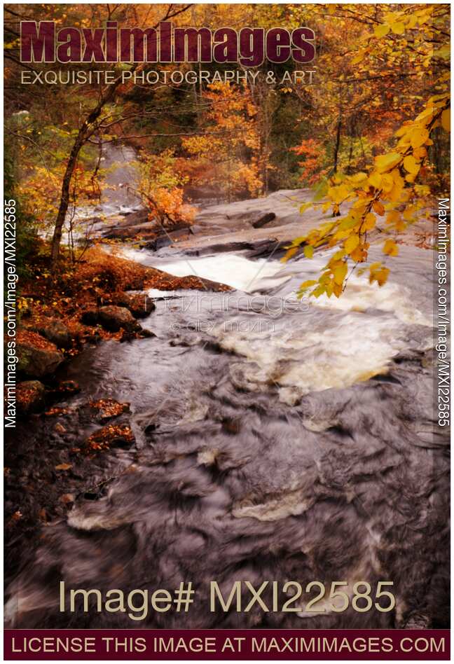 Cascade Waterfall Fall Nature Scenery