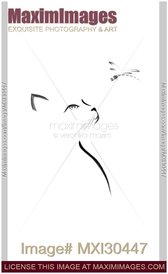 Cat looking up at a dragonfly Japanese Zen illustration design on white
