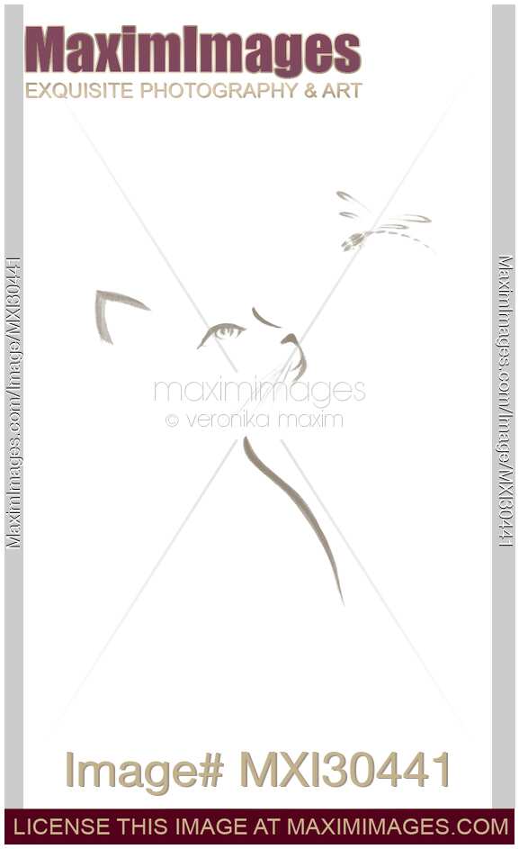 Cat looking up at a dragonfly Japanese Zen illustration gray design on white background