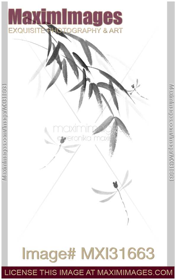 Charming sumi-e black and white artwork of three dragonflies flying in bamboo branches