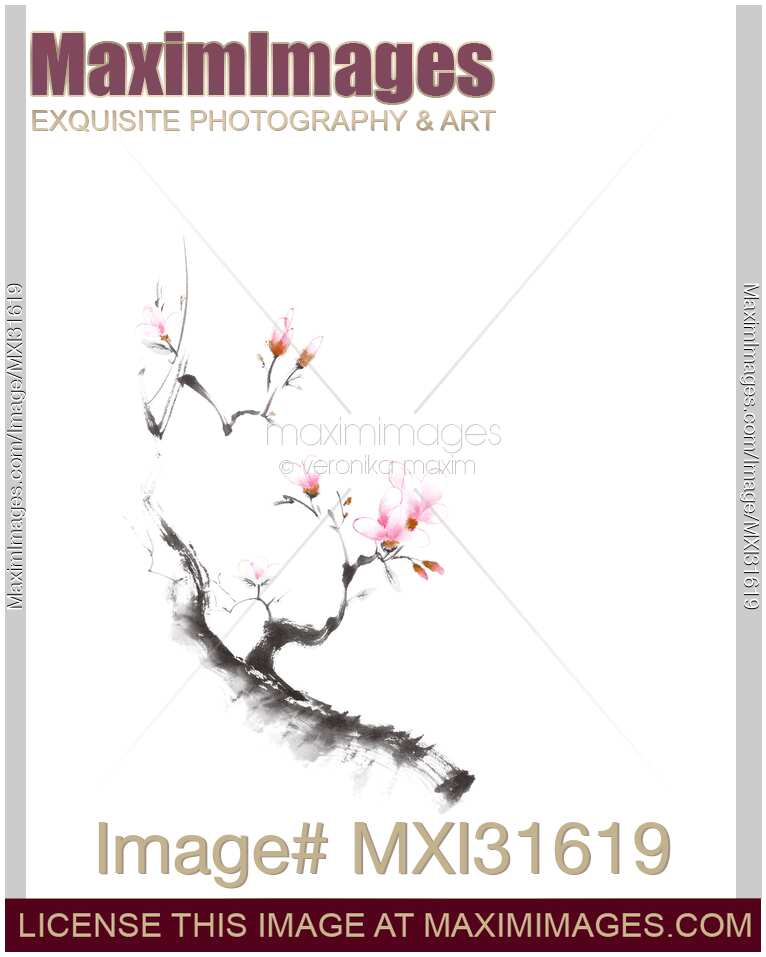 Charming sumi-e illustration of a budding sakura branch with gentle pink flowers