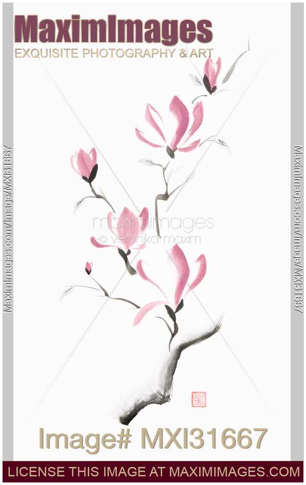 Charming sumi-e ink painting of magnolia branch with large pink flowers