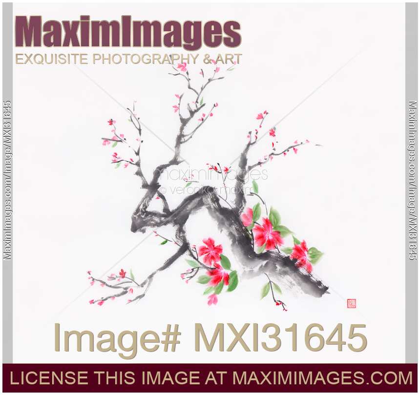 Cherry blossom branch sumi-e ink painting with bright pink flowers