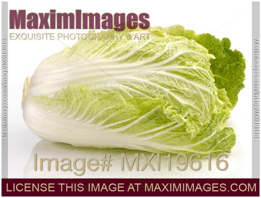 Chinese Cabbage Napa