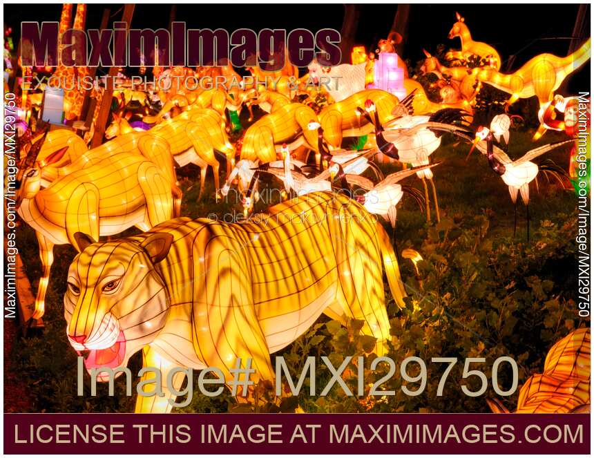 Chinese Lantern Festival