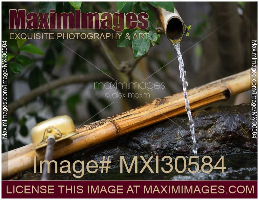 Chozubachi, water cleansing ritual basin with bamboo elements depicting Japanese Wabi-Sabi philosophy