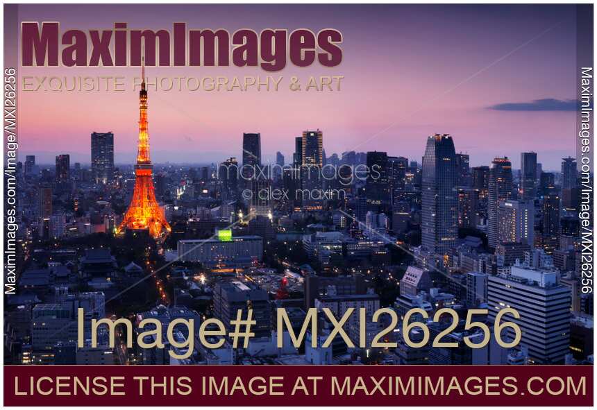 City panorama with Tokyo tower illuminated in twilight
