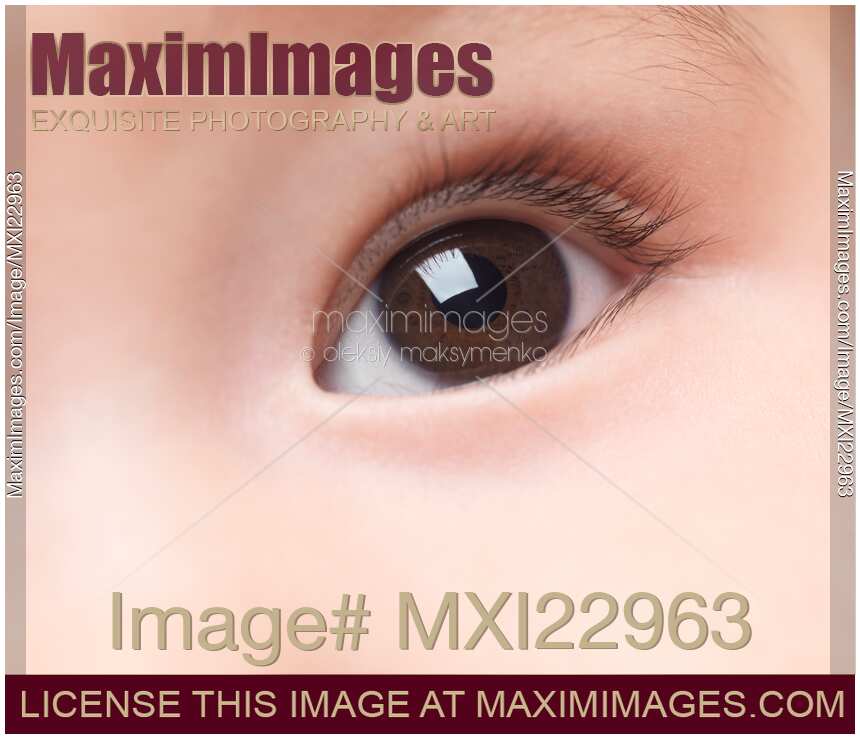 Closeup of a Baby's Eye