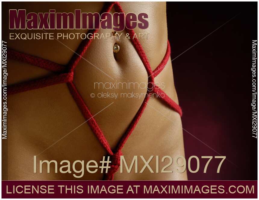 Closeup of a Stomach with Decorative Rope Bondage Shibari