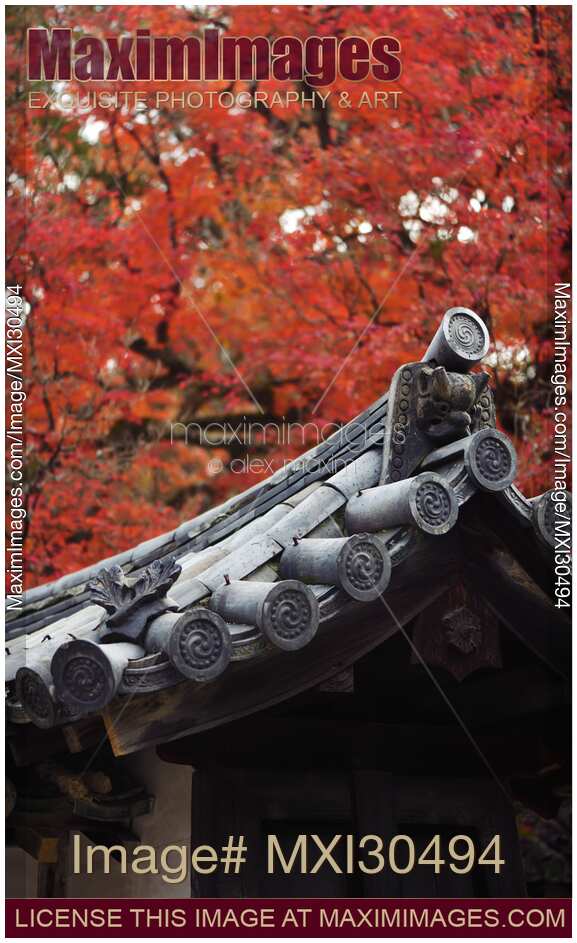 Closeup of Japanese roof tile Kawara ornament detail in autumn scenery Kyoto Japan