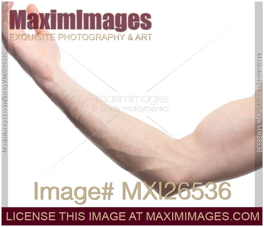 Closeup of male arm and elbow