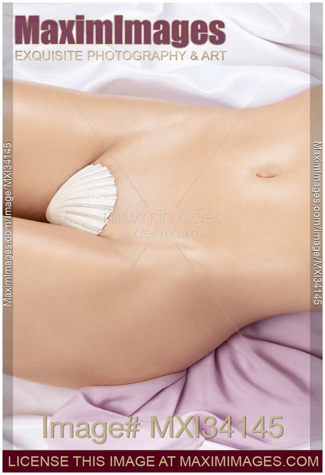 Closeup of sexy half nude woman body with sensual curves and smooth shiny skin with white seashell covering her vagina