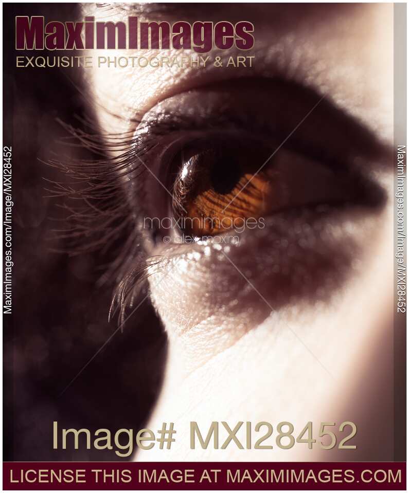 Closeup of woman brown eye