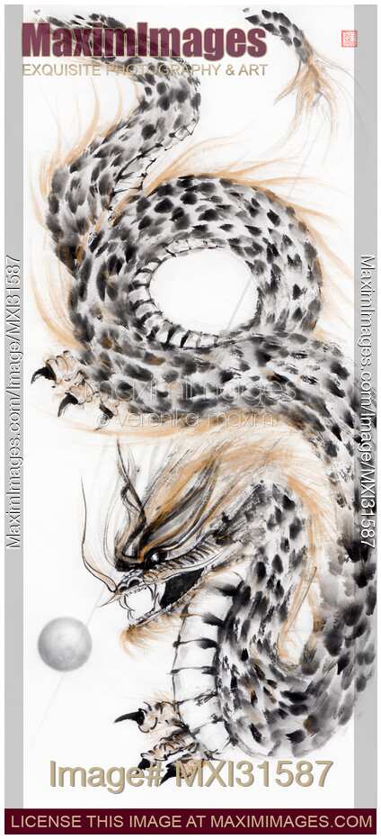 Coiled asian dragon chasing the Pearl of Wisdom sumi-e black ink painting