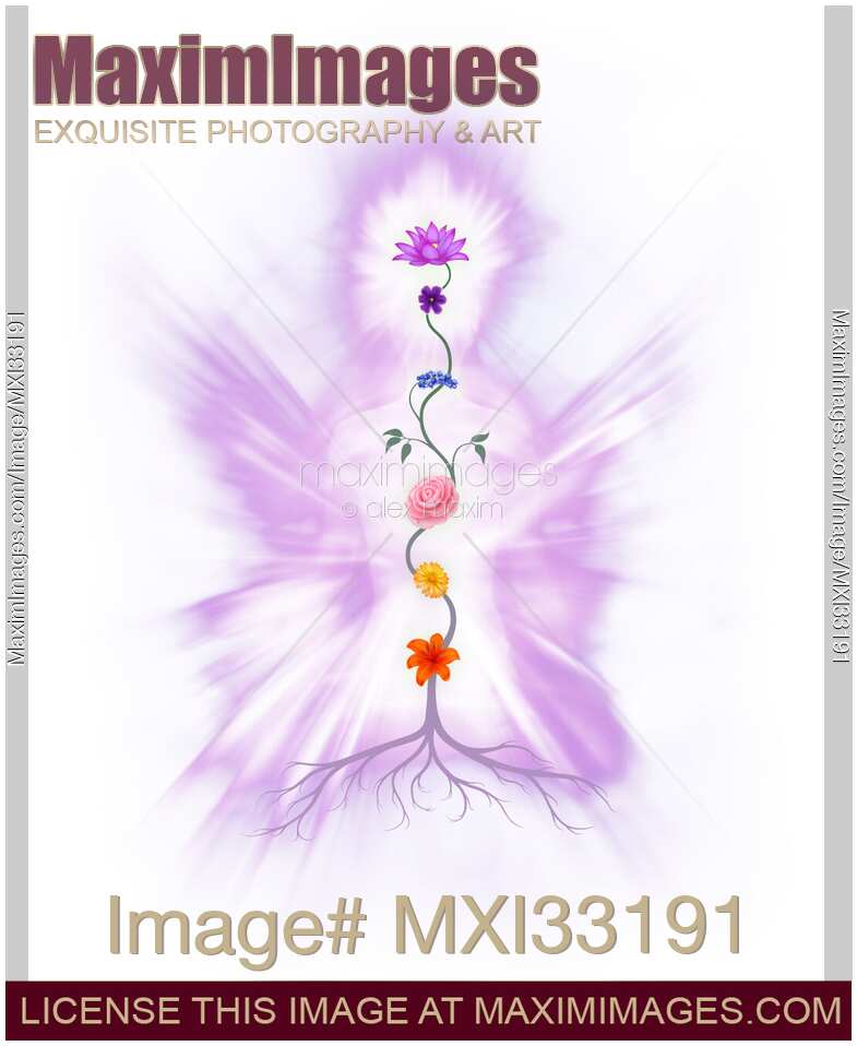 Colored Chakras or human body energy gates represented as flowers growing from a root over a luminous silhouette on white