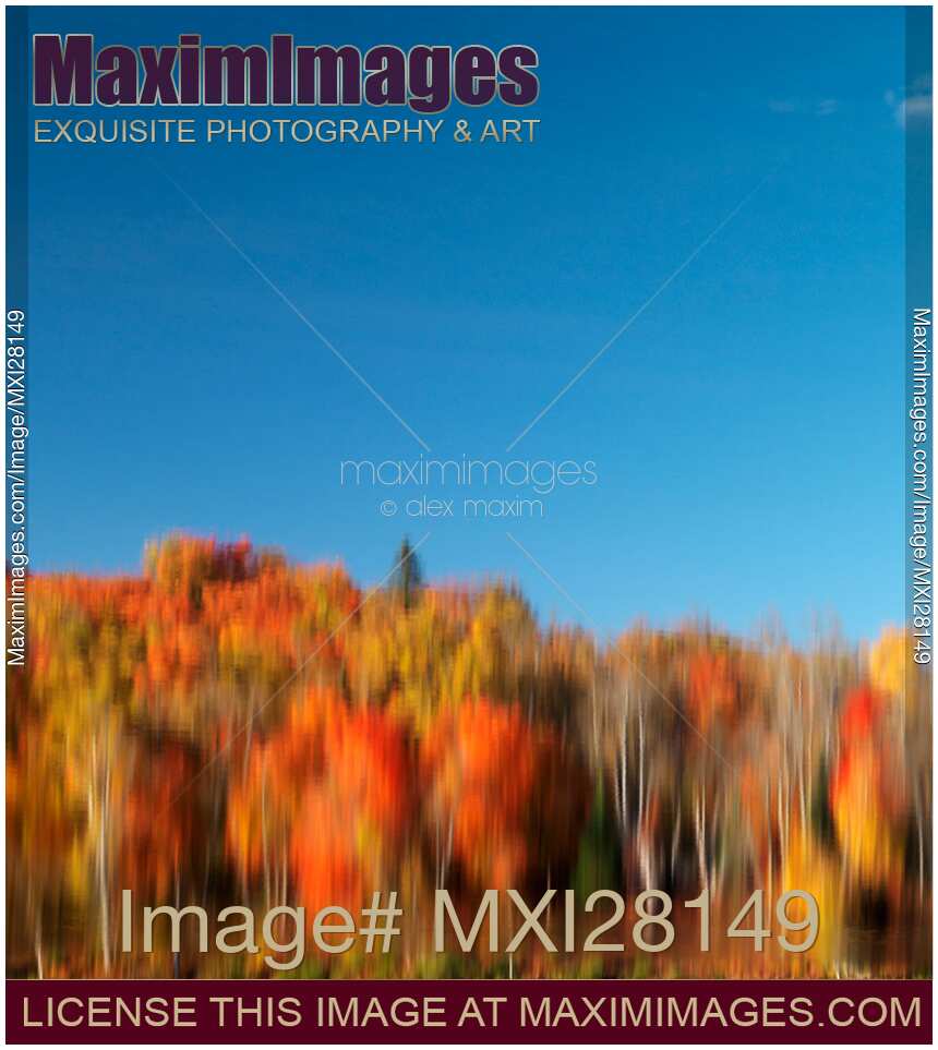 Colorful abstract fall nature reflected scenery