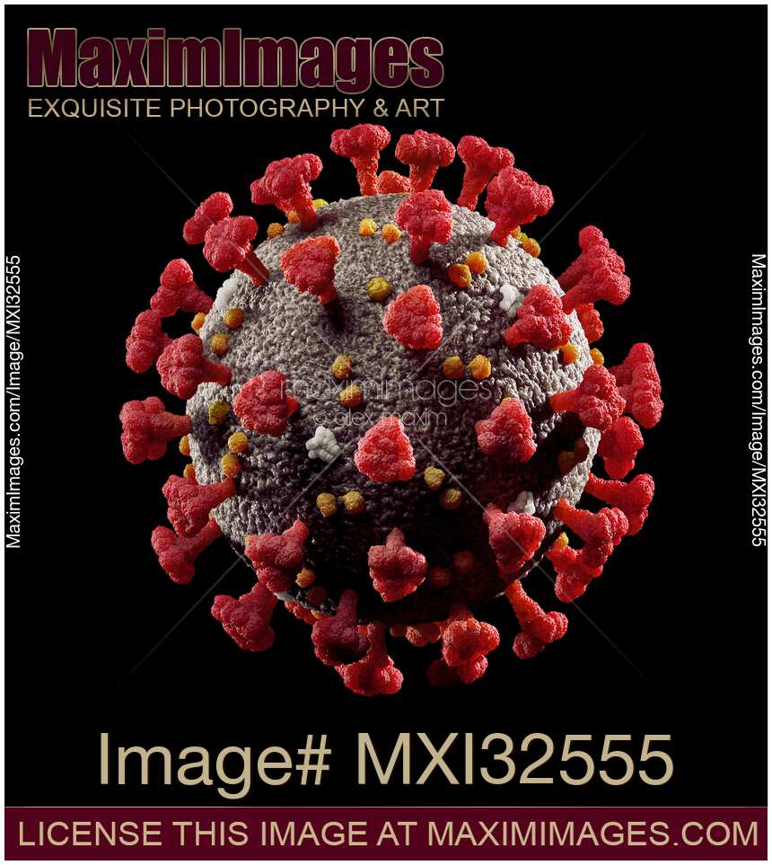 Coronavirus COVID-19 virus particle 3D illustration isolated on black