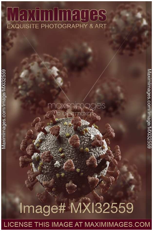Coronavirus COVID-19 virus particles in red blood stream medical 3D illustration