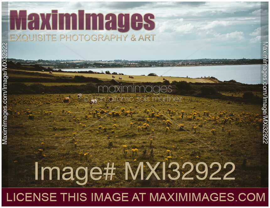 Countryside farm land landscape scenery in Ireland